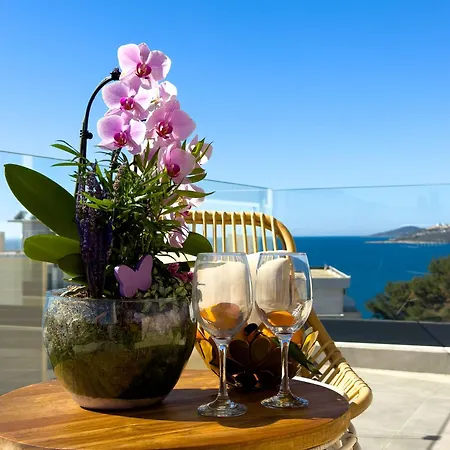 Dori Coastal Escape Σαράντα