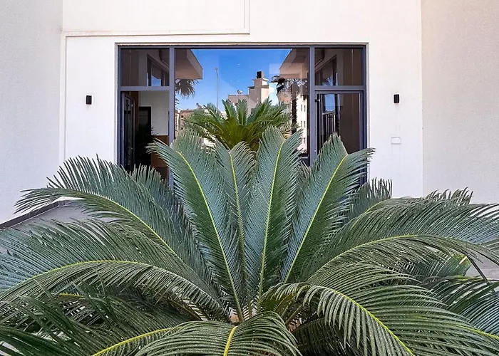 Dori Coastal Escape